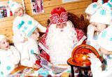 К Деду Морозу запретили возить организованные детские группы