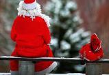 В правительстве области заверили, что Деду Морозу хватит гостей в отсутствие детских групп
