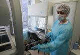 Российский вирусолог: штамм омикрон может стать «живой вакциной» от коронавируса