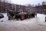 Череповчане назвали виновными в бардаке с уборкой мусора «Чистый след» и президента Байдена