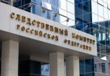 В СК прокомментировали задержание череповецкой «антикуар»-активистки