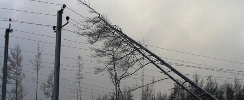 В день энергетика шесть деревень Череповецкого района снова остались без света
