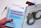 Сайты, торговавшие поддельными ковид-сертификатами, заблокировали по решению суда