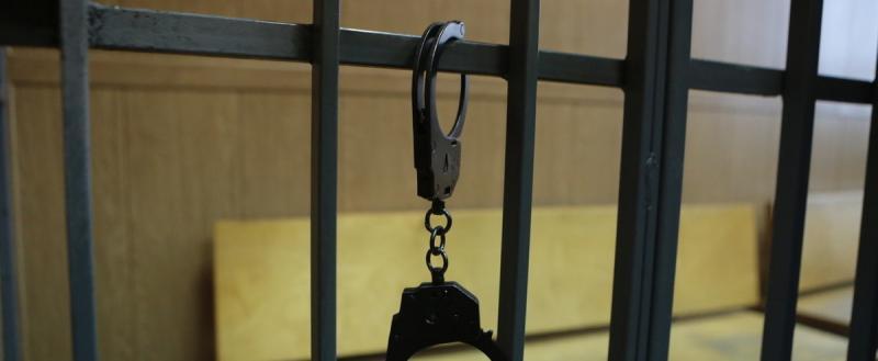 Официально: двух педофилов-убийц из Костромы взяли под стражу