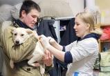 В Череповце прошла вакцинация приютских собак