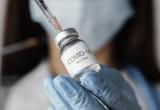Создатели «Спутника V» заявили, что вакцина не нуждается в адаптации к штамму омикрон
