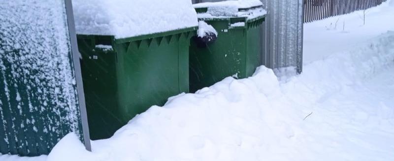 «Условий нет - мусор не вывозится»: региональный оператор отказался вывозить отходы с заваленных снегом площадок