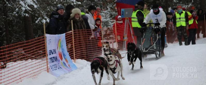 Вологодская область примет этап Кубка мира по гонкам на собаках
