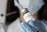 Гинцбург отчасти подтвердил версию о чипировании с помощью вакцины от коронавируса
