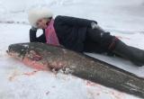 Модная блогерша из Череповца выловила двухметровую рыбу на Мологе