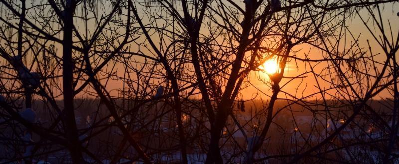 Через несколько дней в Вологодскую область придут настоящие морозы