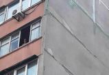 Нетрезвая жительница Вологодской области выбросила свою собаку с балкона восьмого этажа