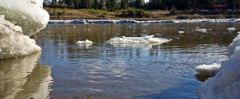Специалисты рассказали, когда на реках Вологодчины ожидается максимальный уровень воды