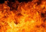 Пожилой мужчина сгорел в дачном доме на причалах под Череповцом