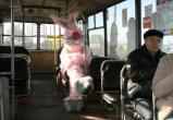 Общественный транспорт Череповца переживает невиданный наплыв «зайцев»