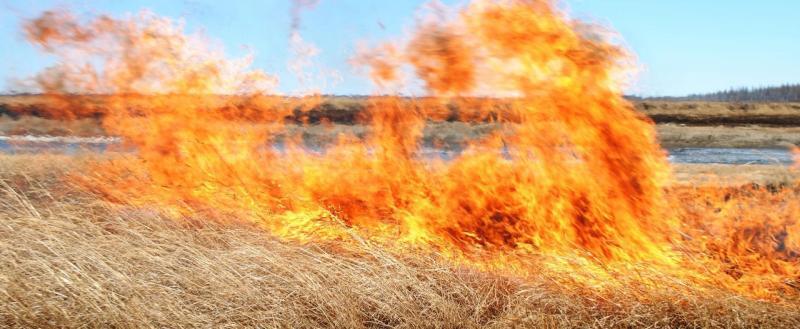 В Вологодской области введут особый противопожарный режим