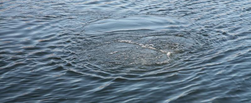 Пенсионер утонул в одной из рек Вологодской области