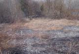 Больше гектара сухой травы выгорело в Вологодской области за минувшие сутки