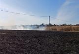 В Шекснинском районе выгорело поле между Нифантовским кладбищем и федеральной трассой