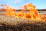 За неделю в Вологодской области выгорело более 70 га сухой травы