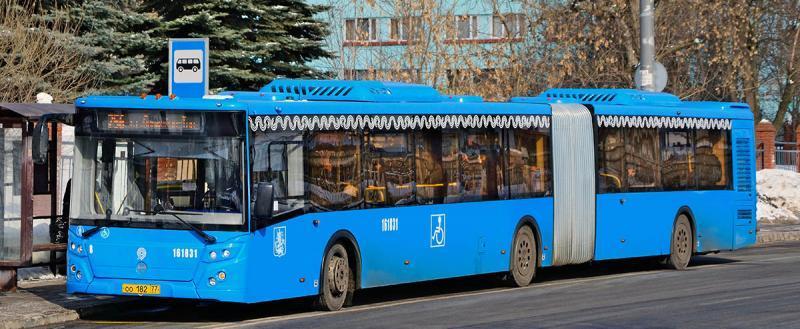 Уже завтра в Череповце запустят ежедневные автобусы до дачных причалов