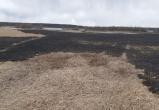 В Череповецком районе выгорело 4 гектара сухой травы