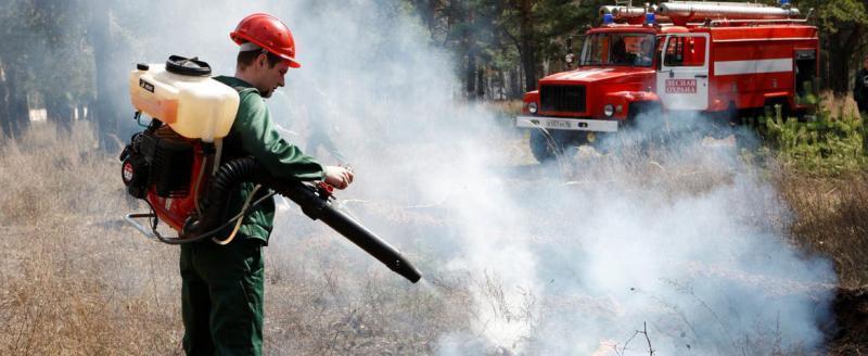 На территории Вологодской области зафиксирован первый с начала года лесной пожар