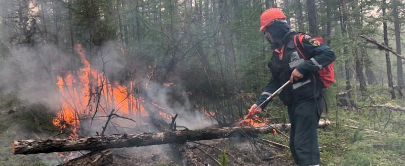 Вологодская область вошла в список наиболее пожароопасных территорий России 
