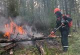 Вологодская область вошла в список наиболее пожароопасных территорий России 