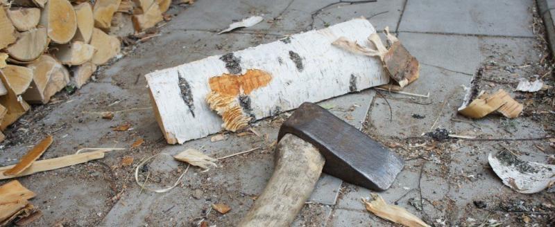 Житель Вологодской области, убивший собутыльника поленом, отправится в тюрьму