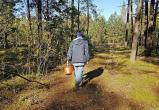9 человек заблудились в лесах Вологодской области с начала года