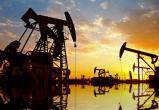 Назло маме уши отморожу: США собрались "уронить" цену на нефть до минимальных значений