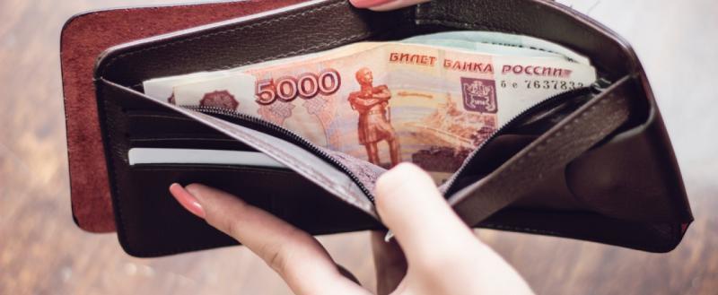 Девушка из Шексны отнесла в полицию найденный на улице кошелек со 100 тысячами рублей