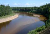 Трое детей едва не утонули в одной из рек Вологодской области