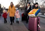 С начала года в Вологодскую область прибыло почти 700 беженцев из Украины и ЛДНР