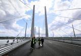 Новый мост в Череповце откроют 10 августа