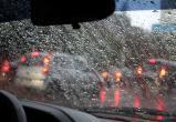 Дождь и небольшое похолодание придут в Череповец ближе к концу недели