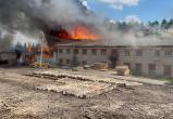 В Вологодской области сгорела пилорама