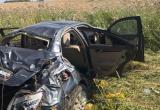 Автолюбитель без прав скончался после съезда в кювет на федеральной трассе в Вологодской области