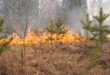 4 пожара было выявлено за минувшую неделю в лесах Вологодской области