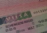 Выдача туристических шенгенских виз россиянам может быть прекращена