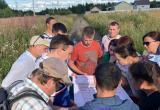 Череповецкому району выделено 12,5 млн рублей на строительство подъездов к участкам для многодетных семей