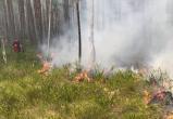18 лесных пожаров зафиксировано в Вологодской области с начала сезона