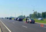 Череповецкие полицейские устроили массовую проверку транспорта на Южном шоссе