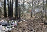 Суд обязал департамент лесного комплекса ликвидировать свалку в Кадуйском районе