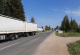 "Выпотрошенный труп несколько часов лежал на дороге": стали известны жуткие подробности ДТП в Вытегре