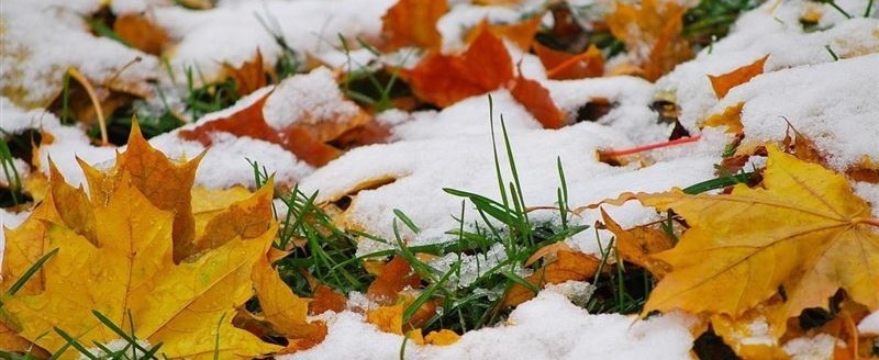 В Вологодскую область придут дожди и снегопады