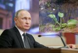 Разработка череповецких экологов вызвала опасения у Владимира Путина