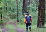 86-летний житель Вологодчины пропал в лесу