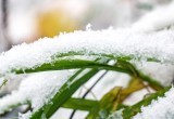 Синоптики прогнозируют необычайно снежное окончание осени